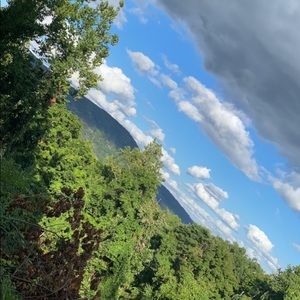 Meet your Posher, Hunter